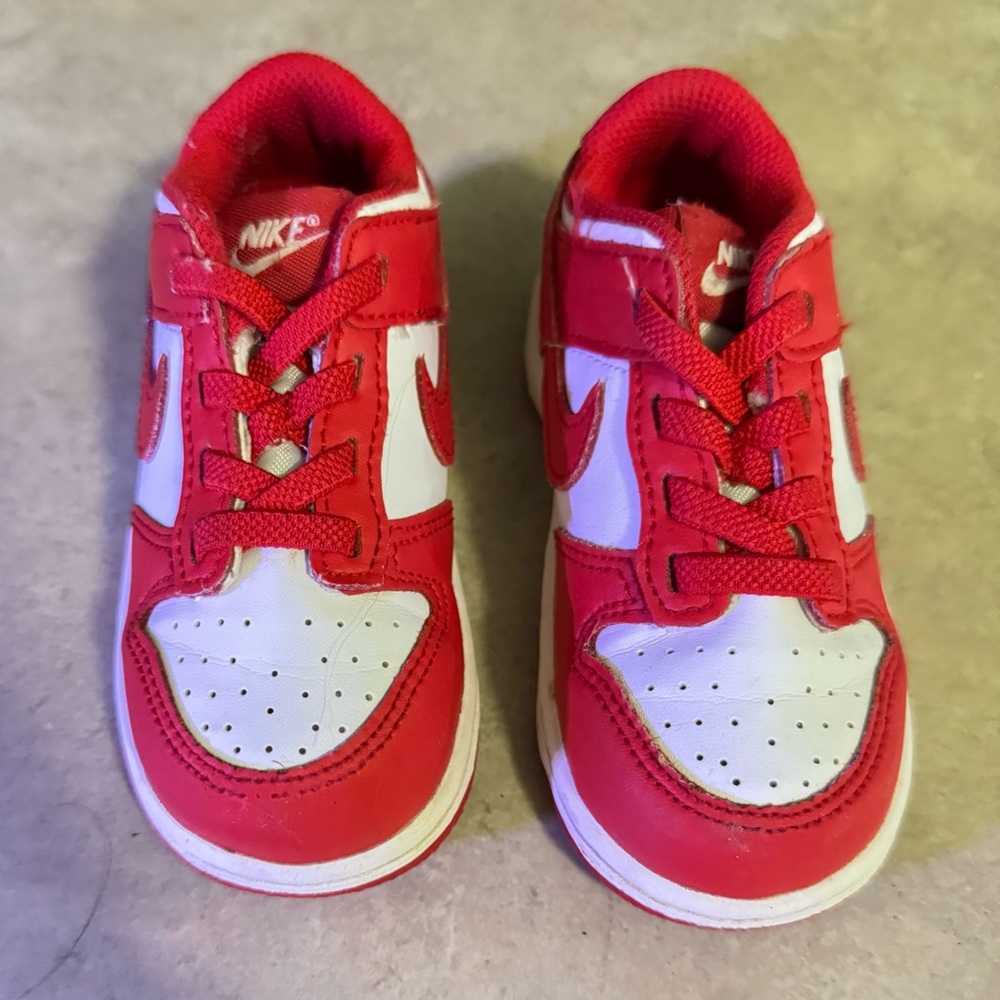 Toddler Nike Dunks - Size 8C